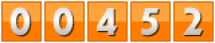 website counter