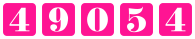 website hit counter