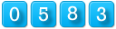 website page view counter